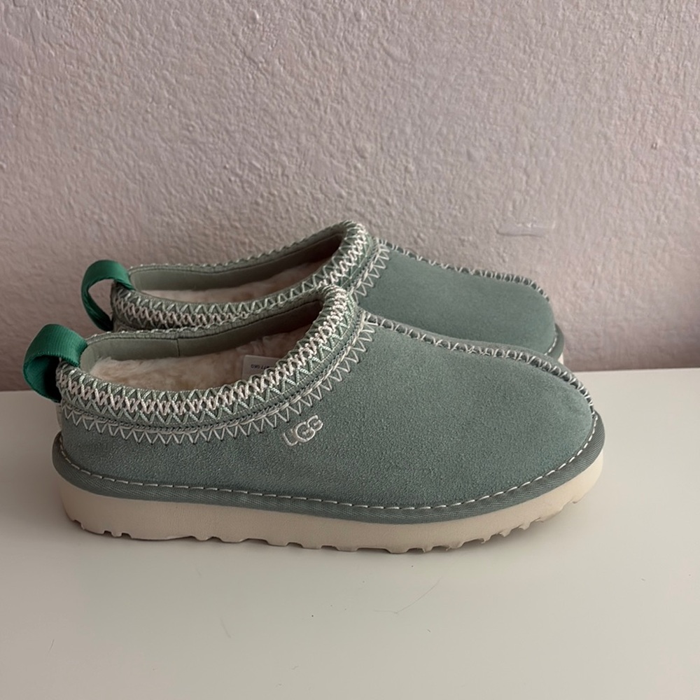 UGG Cozy Slip-On Shoes in Seafoam Green